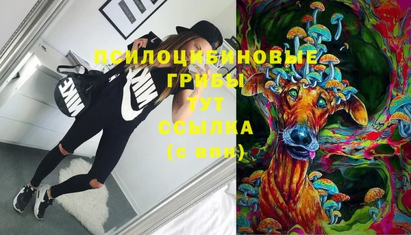 хмурый Дмитровск