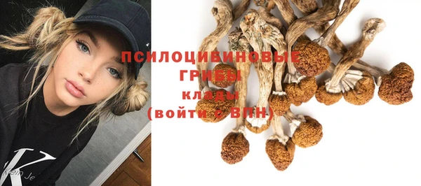 jwh Дмитров